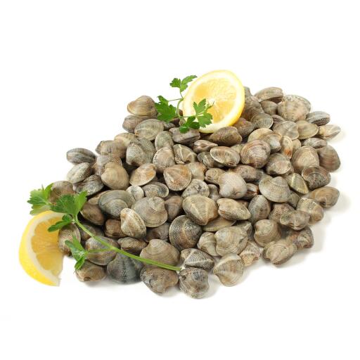 Vongole lupini fresco pescato