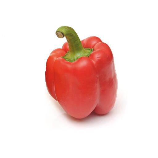 Peperoni Rossi