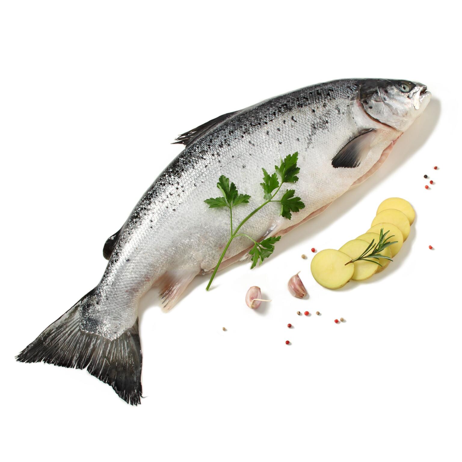 Salmone intero fresco Norvegese 3/4 kg