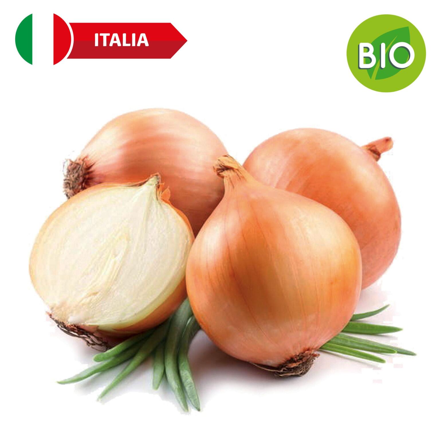 Cipolle dorate bio 40/60 350g