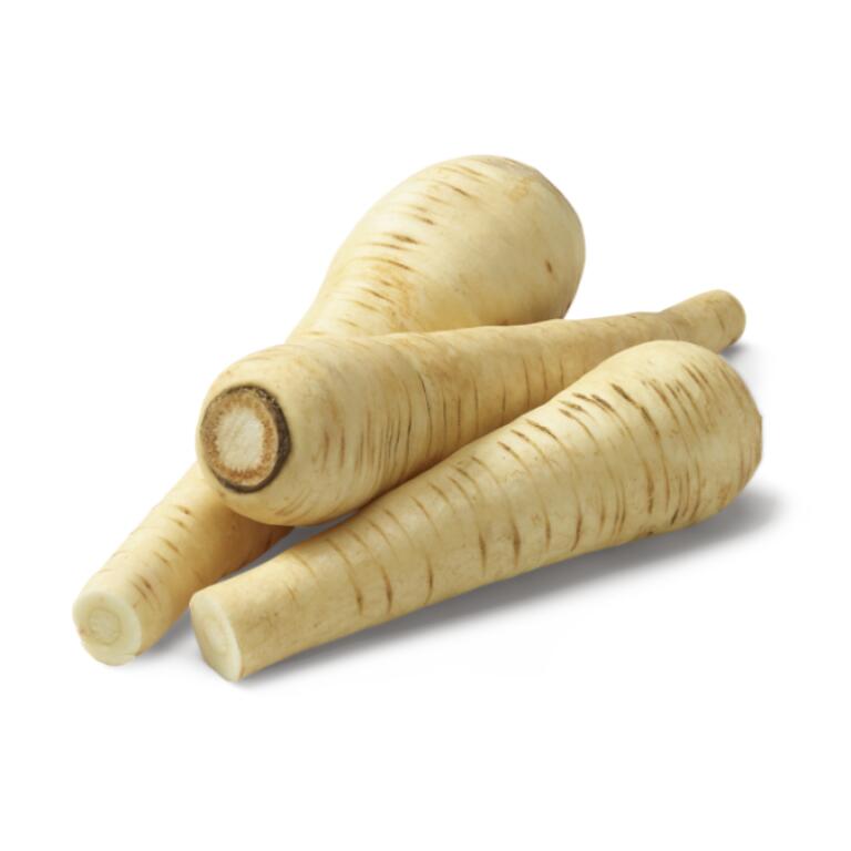 Pastinaca