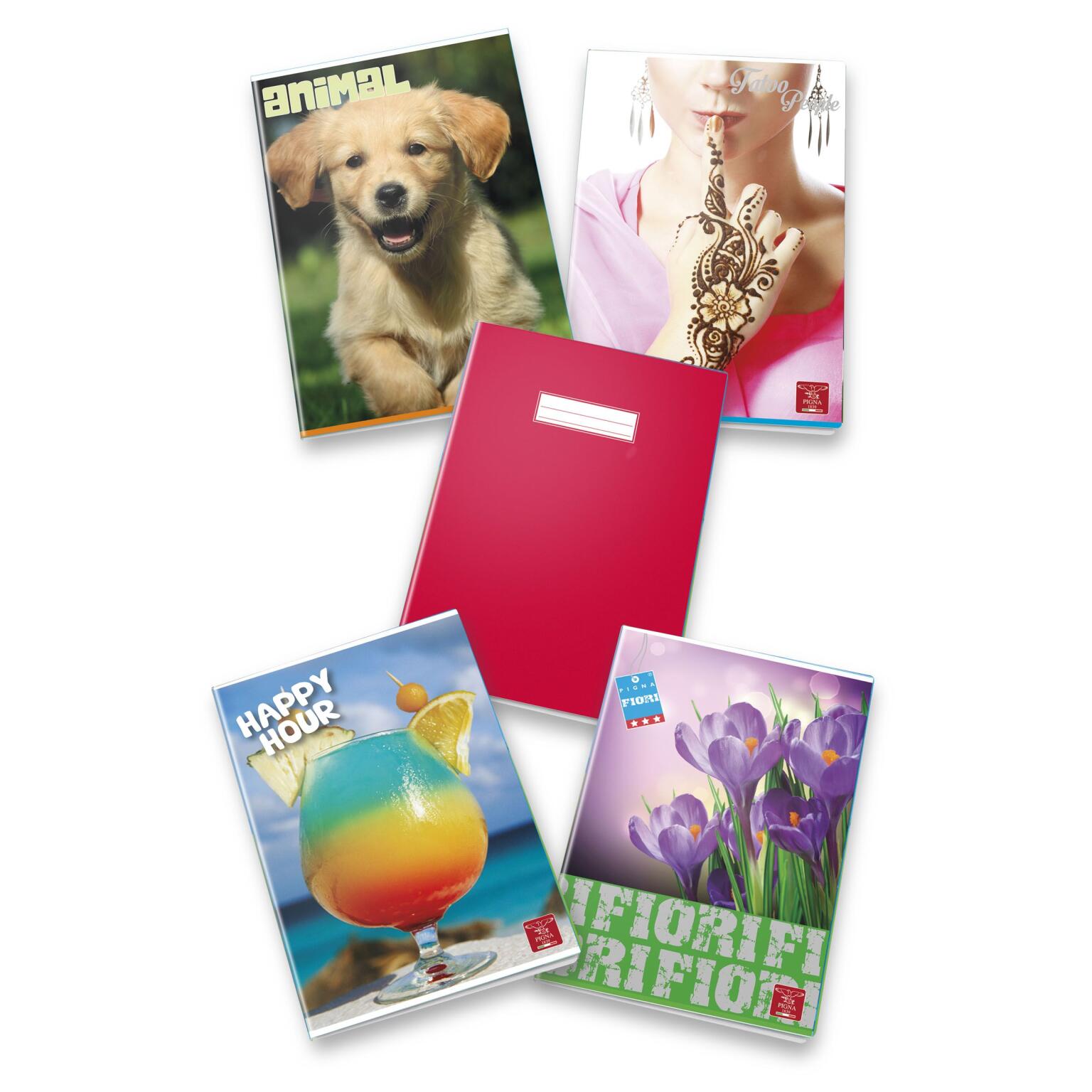 Quaderno maxi ragazzi quadretti piccoli 4MM 40fogli 80g 5 pezzi Pigna colori assortiti