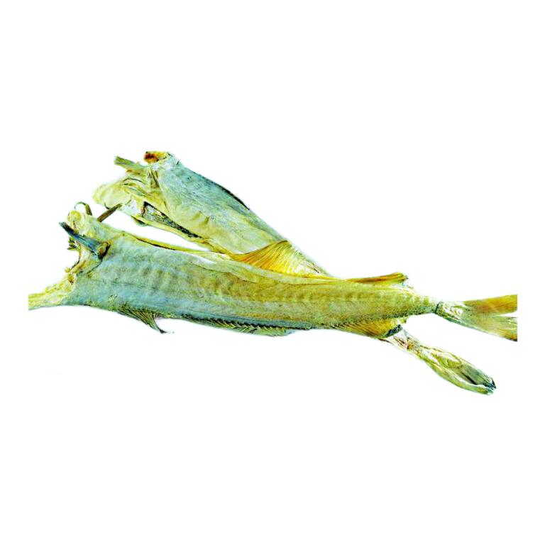 Stoccafisso Ragno Gadus Morhua battuto 4/5