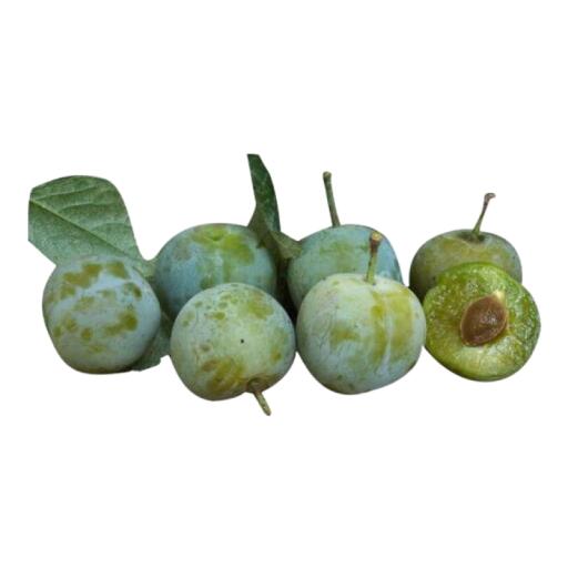 Susine Regina Claudia a cassa