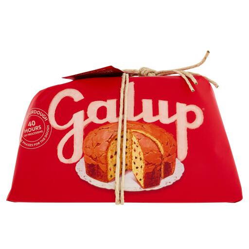 Panettone tradizionale incartato IL Goloso ricoperto con glassa alla nocciola 1kg Galup