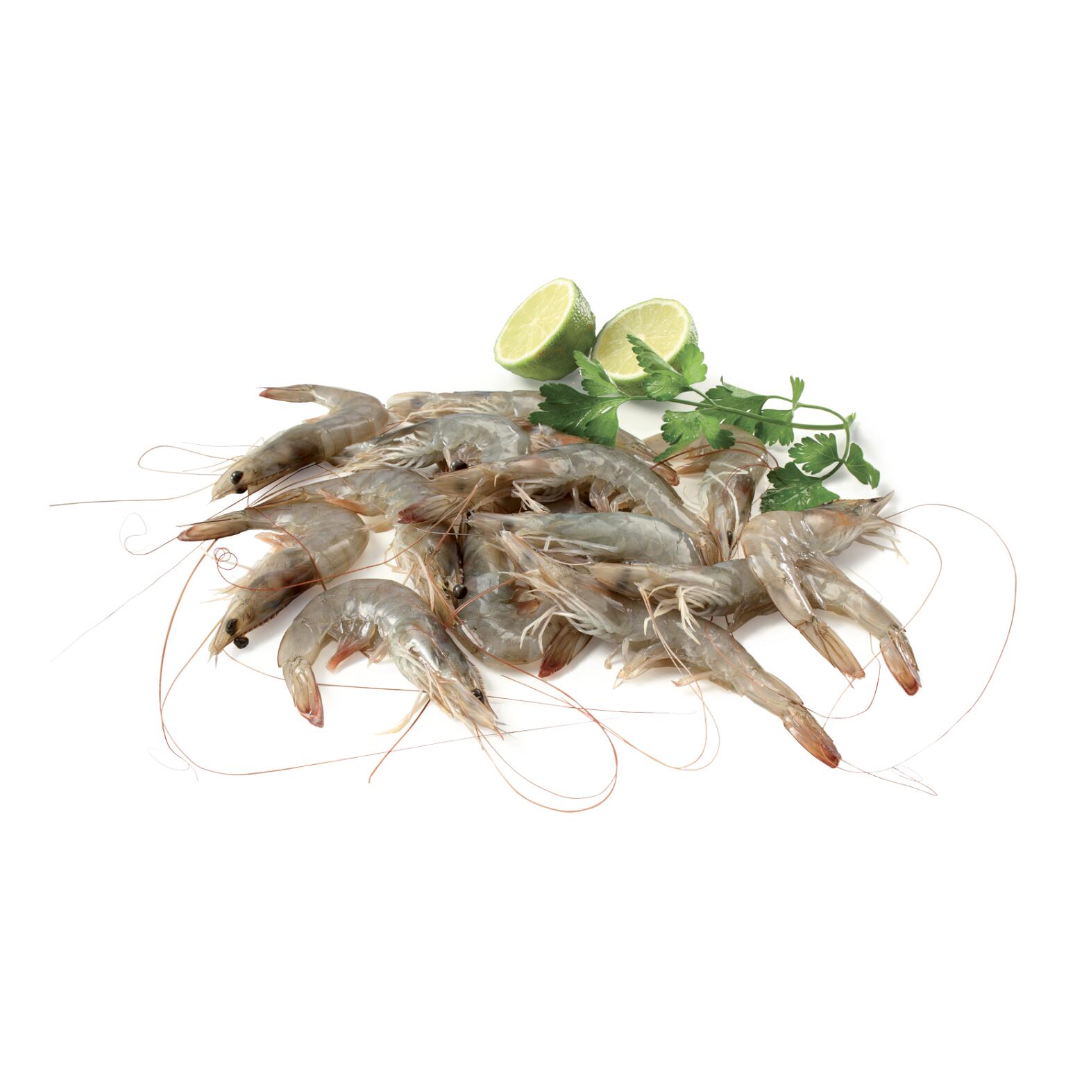 Code di Mazzancolle Tropicali congelate 21/25 confezione da kg.2,27