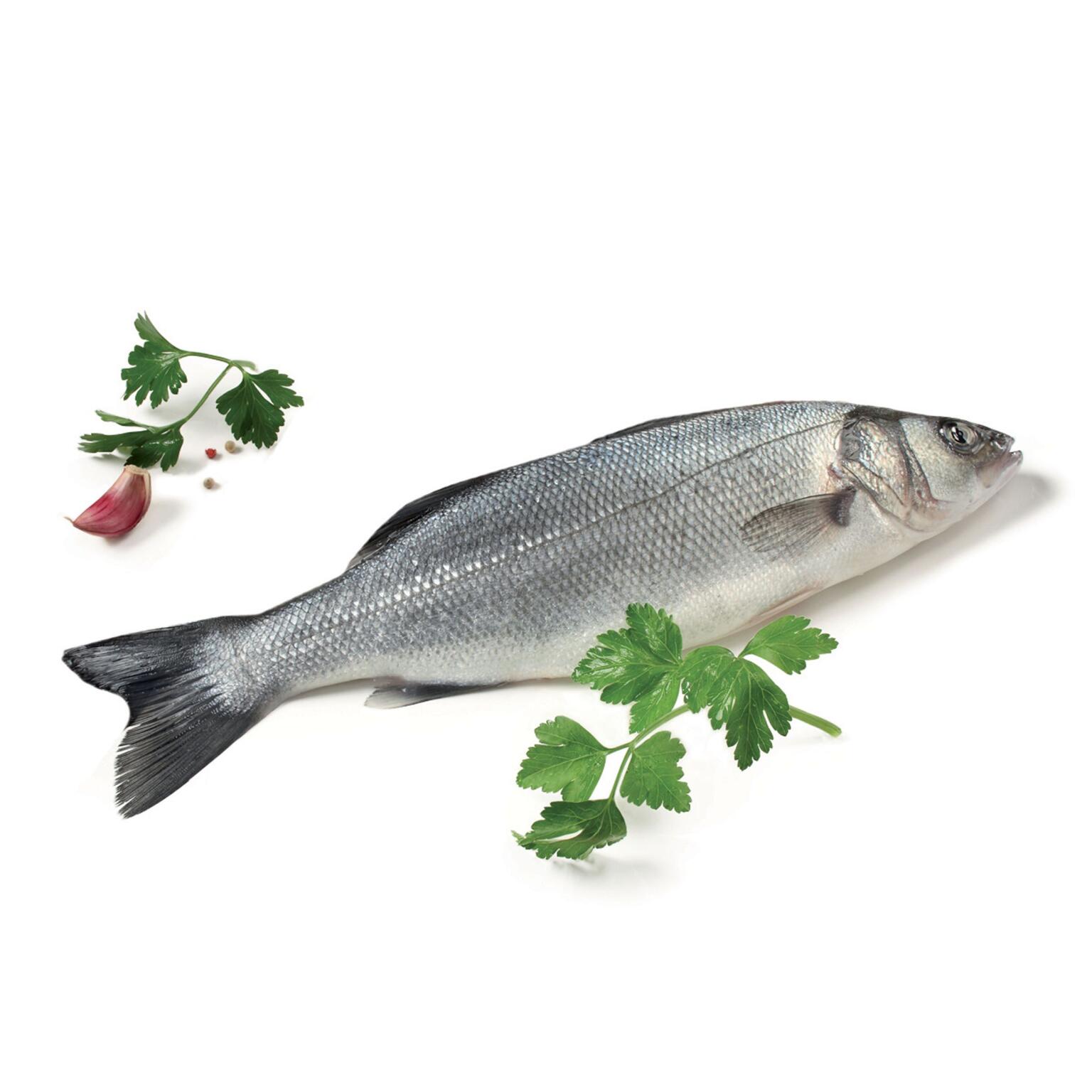 Branzino 800/1000g allevato grecia o turchia