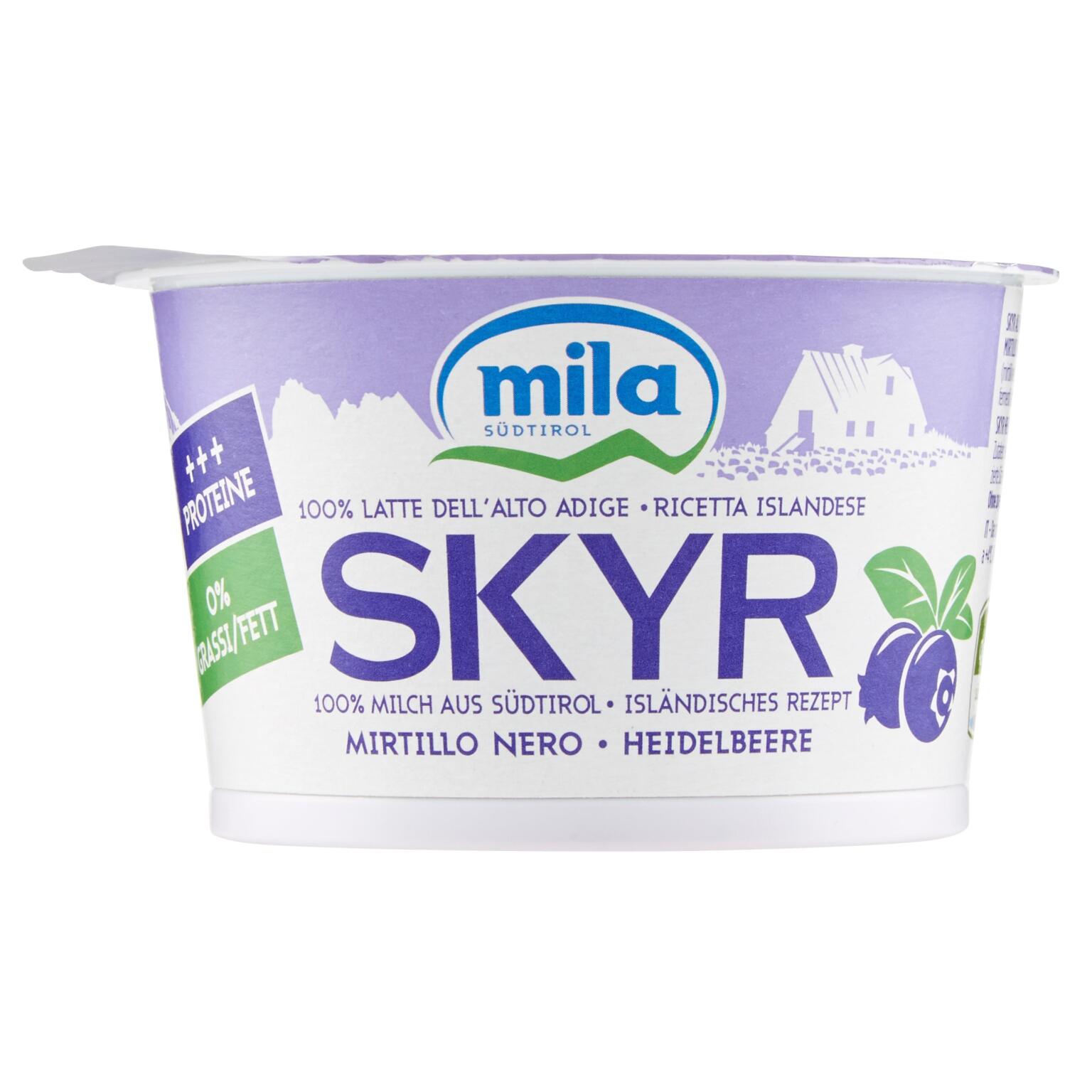 Yogurt ai mirtilli neri 150g SKYR Mila
