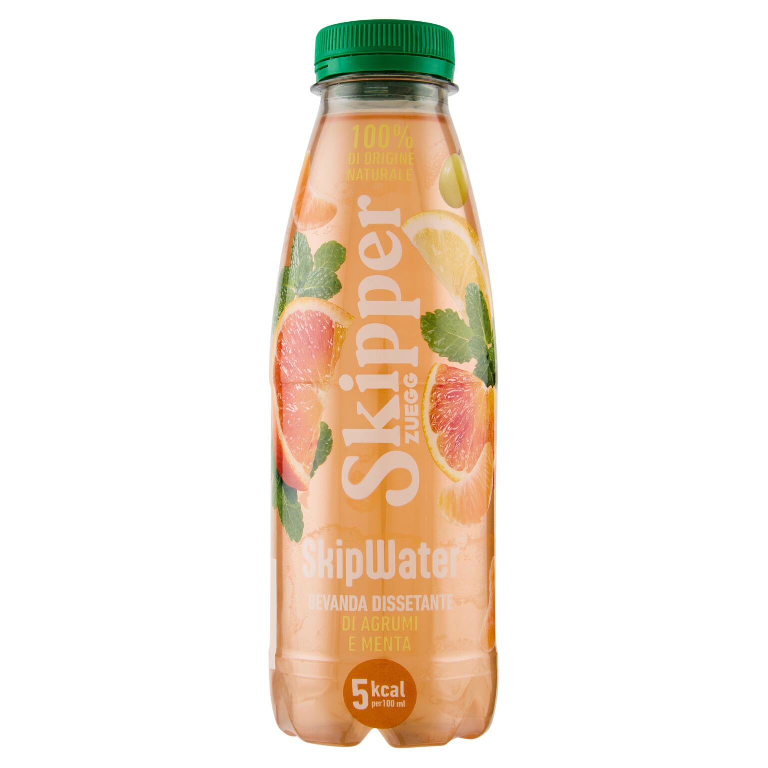 Skipwater 500ml Agrumi e Menta Skipper Zuegg
