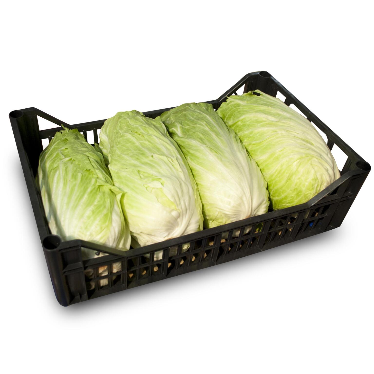 Insalata Pan di zucchero a cassa