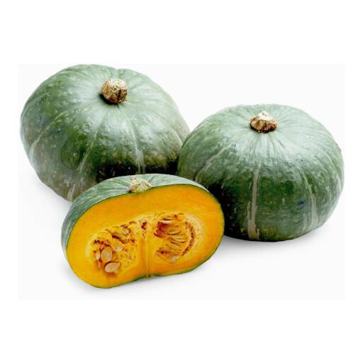 Zucca Delica