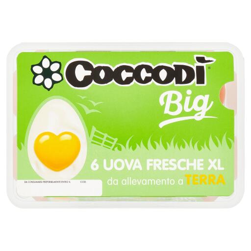 Uova Big XL confezione x6
