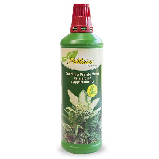 Concime liquido piante verdi 1L Pollicino