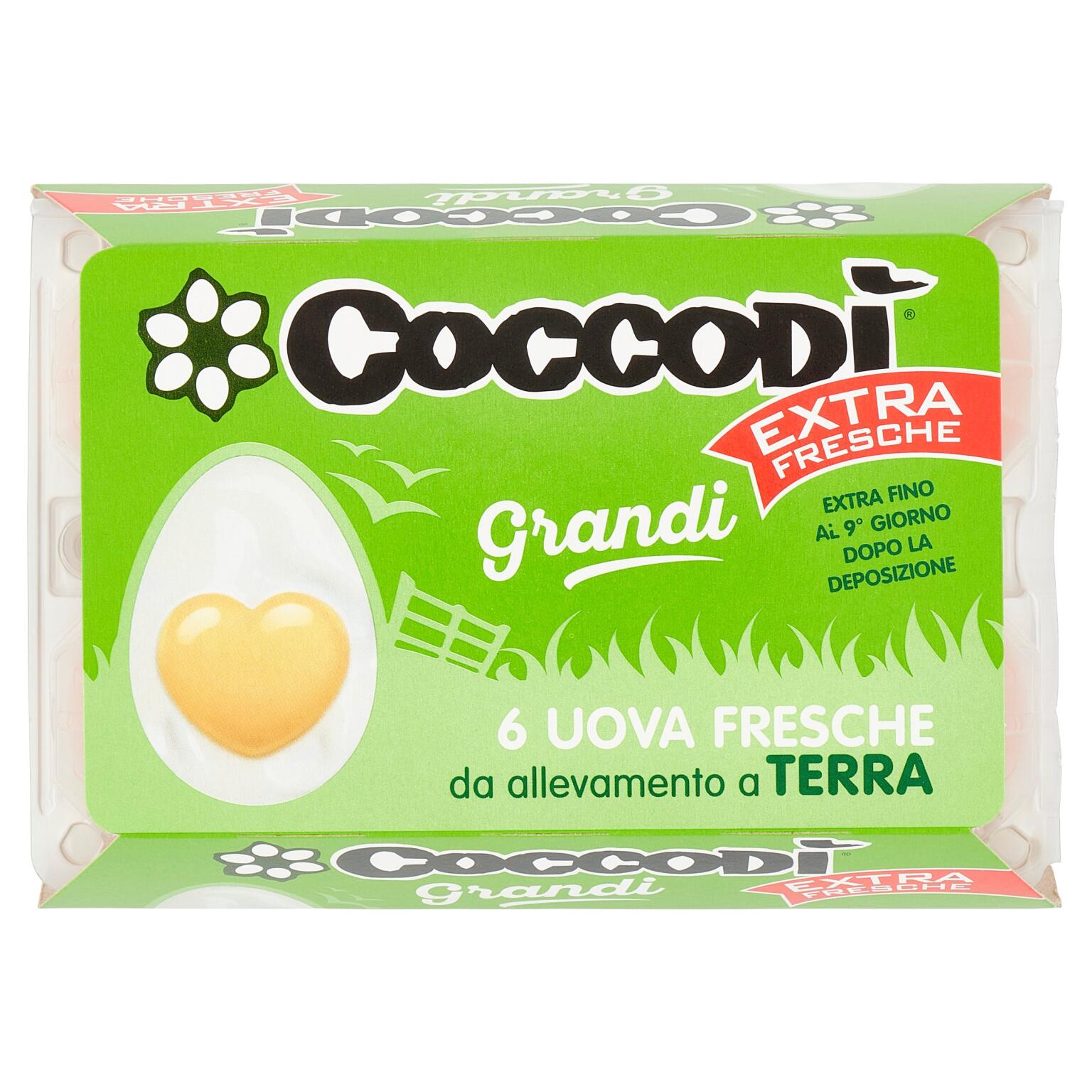 Uova Coccodì extra x6