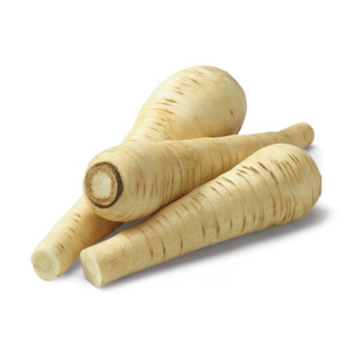 Pastinaca