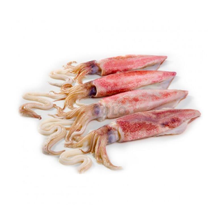 Calamaro c4 Patagonia congelato a cassa con testa e da pulire