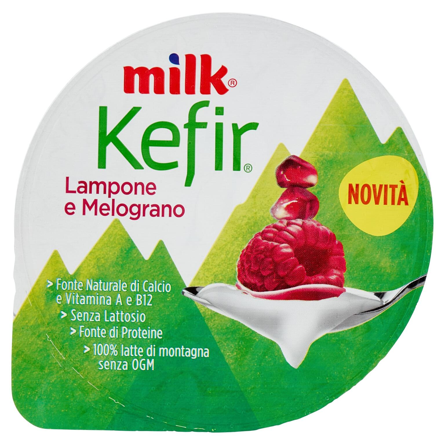 Milk kefir cremoso melogano e lampone 150g