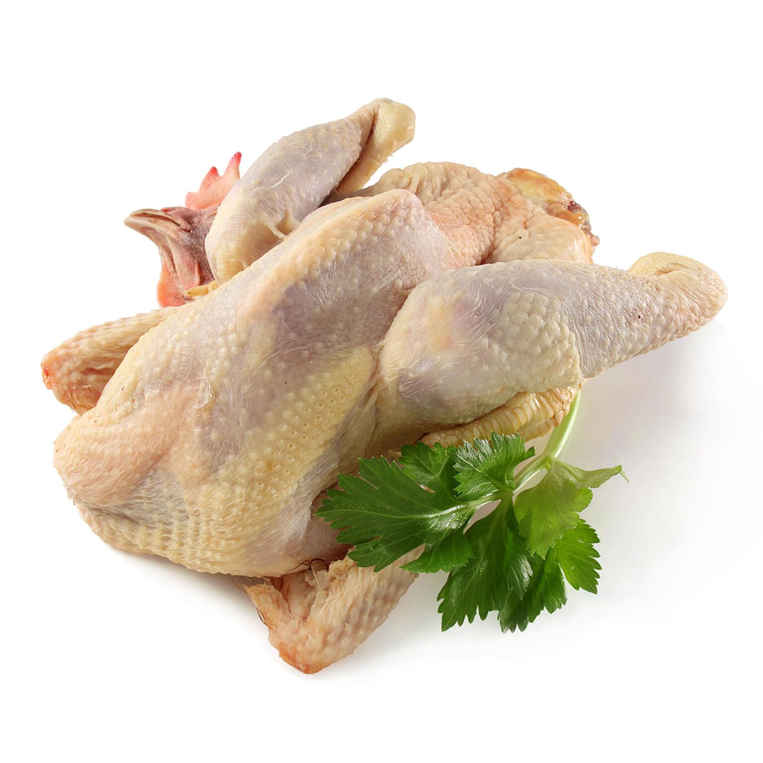 Gallina tradizionale