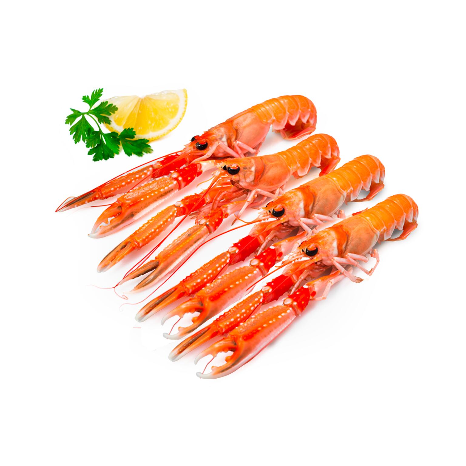 Scampi 12/15 Scozzesi Premium congelati a bordo confezione 3kg