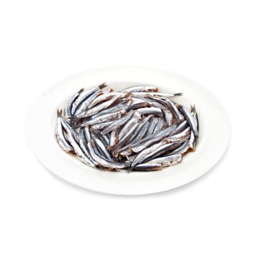 Alici senza testa congelate Iqf 900g
