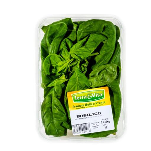 Basilico 30g Terra&Vita