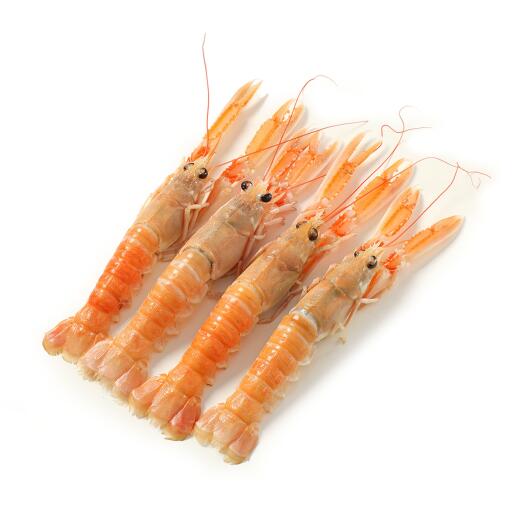 Scampi freschi 30/40