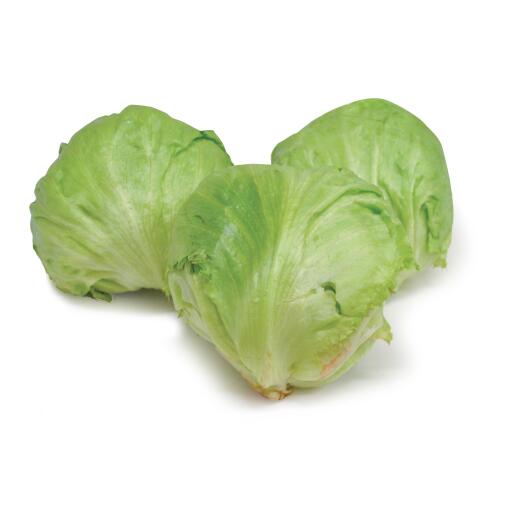 Insalata Iceberg a cassa