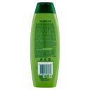 Immagine del prodotto