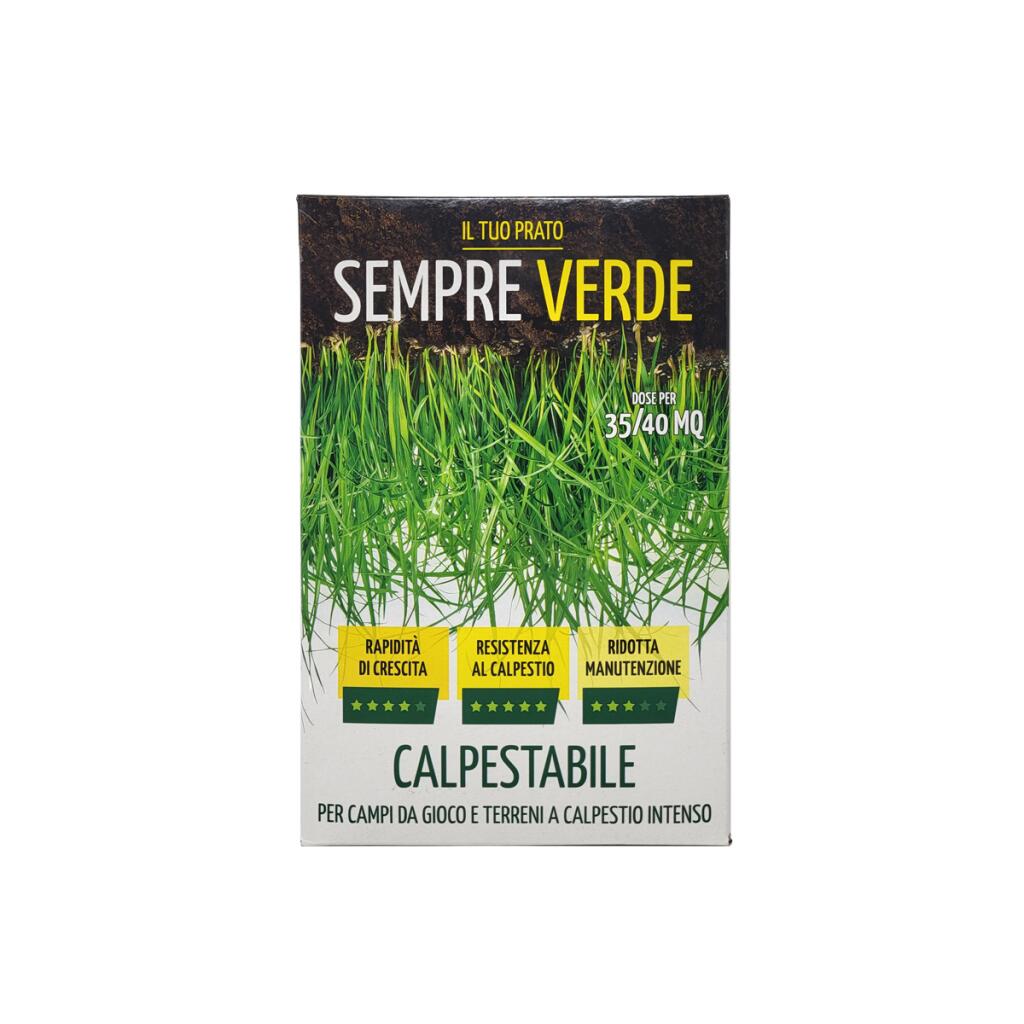 Prato calpestabile sempreverde 800g