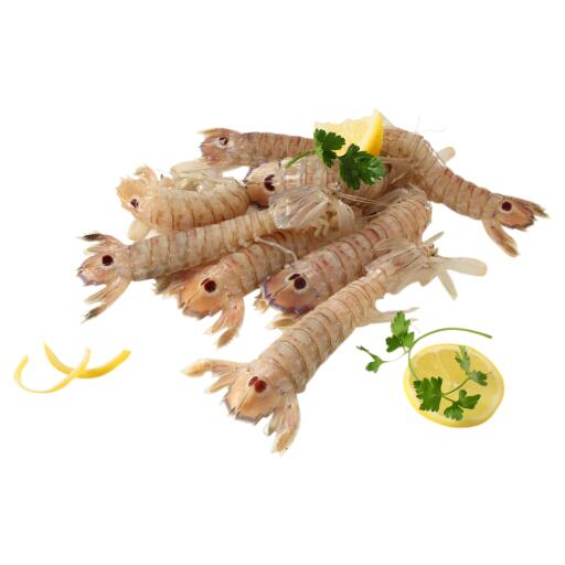 Canocchia 1kg surgelata