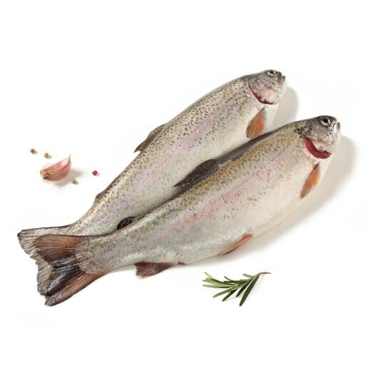 Trota salmonata fresca allevata Italia 500/700g circa