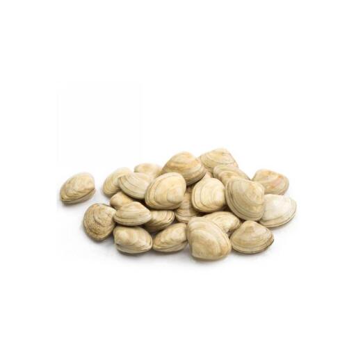 Vongole del pacifico con guscio bianche 500g