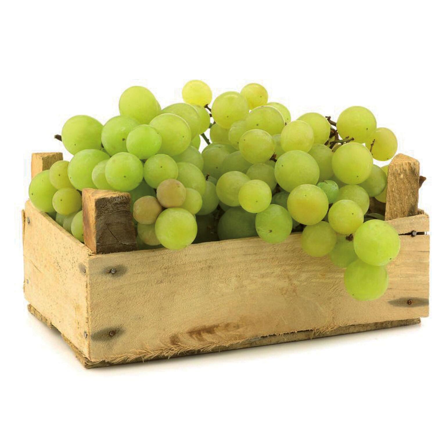 Uva bianca confezione 500g senza semi