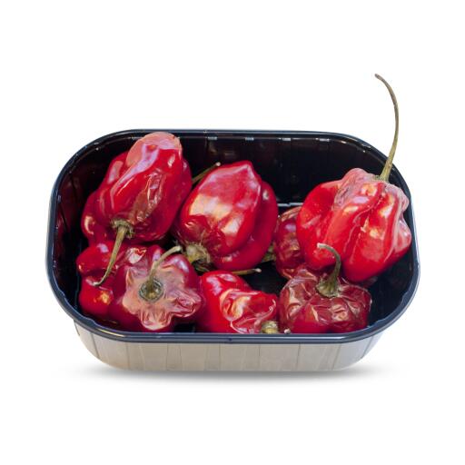Pimento Habanero 100g