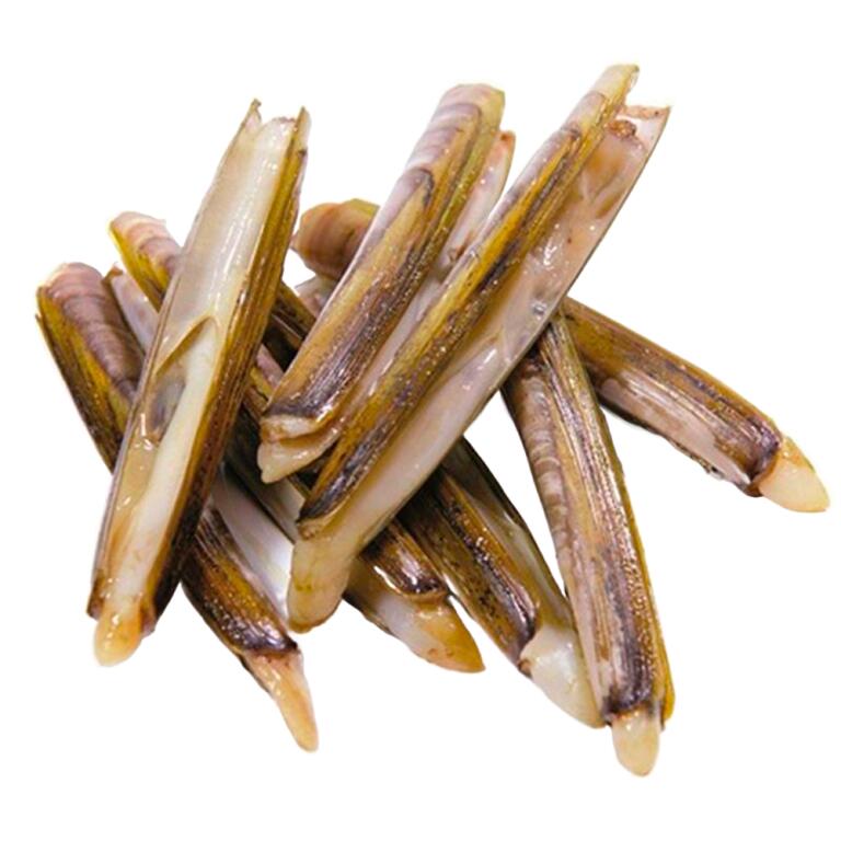 Cannolicchi oceanici congelati 1kg