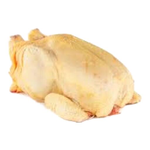 Gallina super busto