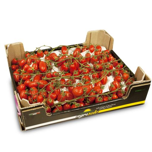 Pomodoro datterino a cassa
