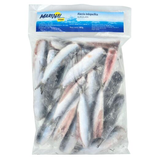 Alaccia indopacifica senza testa 800g Marinai