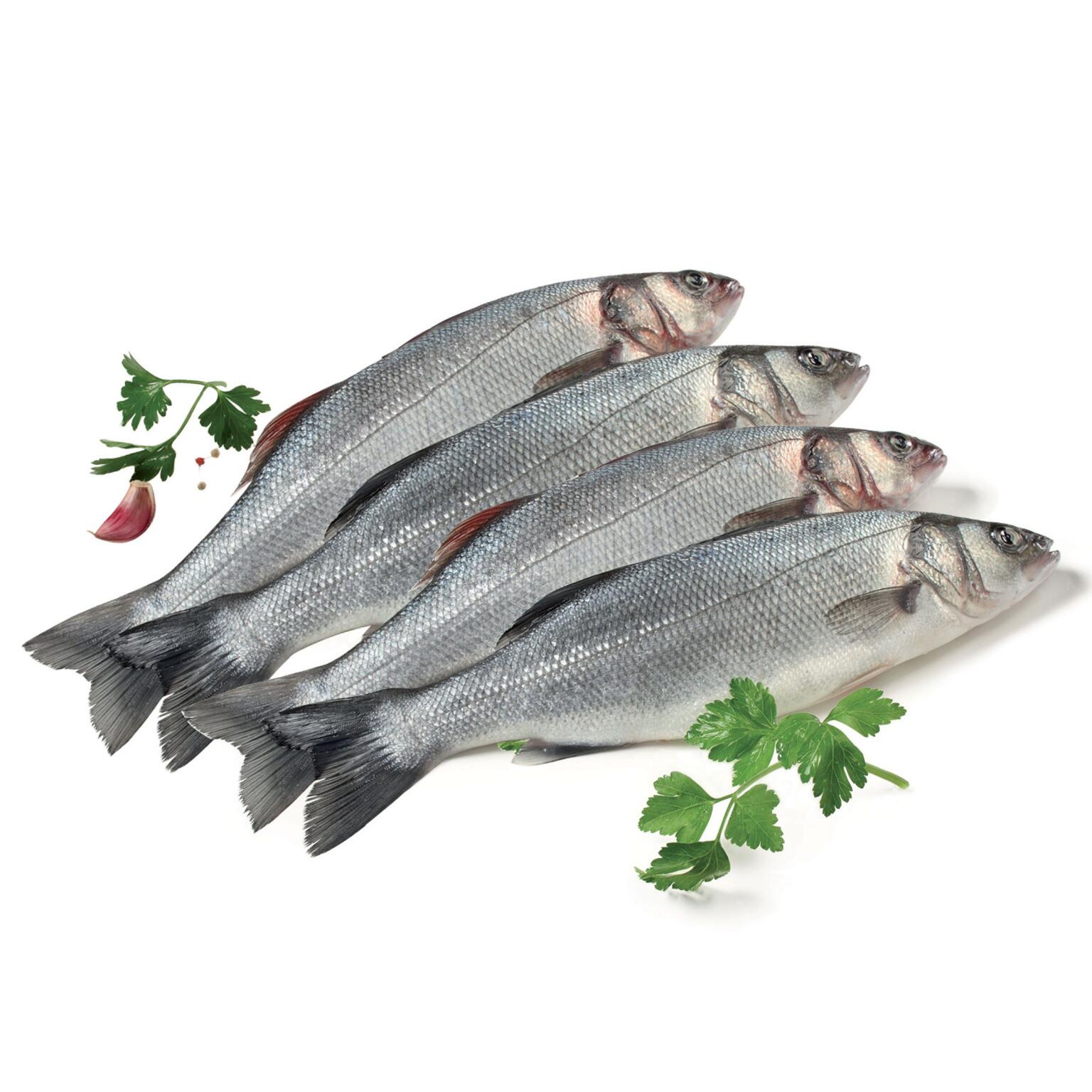 Branzino 400/600g allevato a cassa
