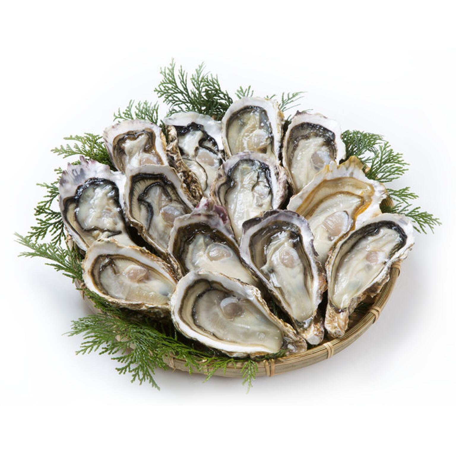 Ostriche concave 6/7 pezzi per confezione         francesi