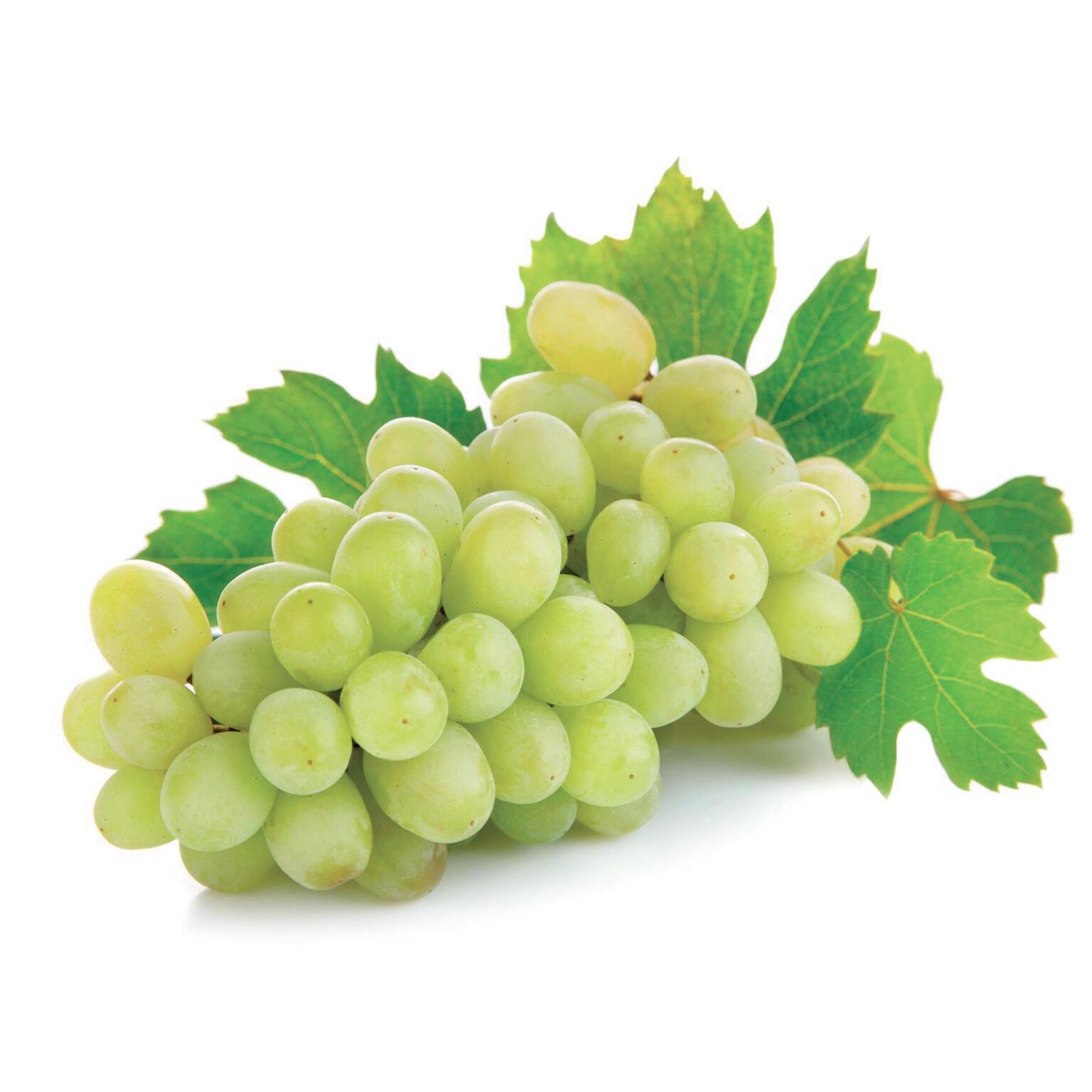 Uva Vittoria Confezionata