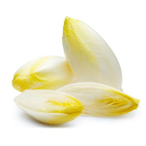 Indivia belga 500g