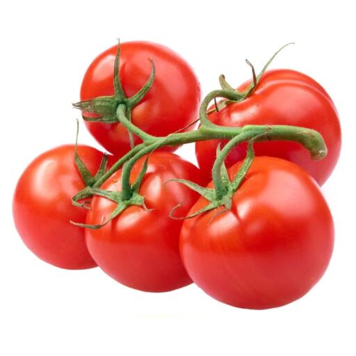 Pomodori Ramati Prov. Olanda