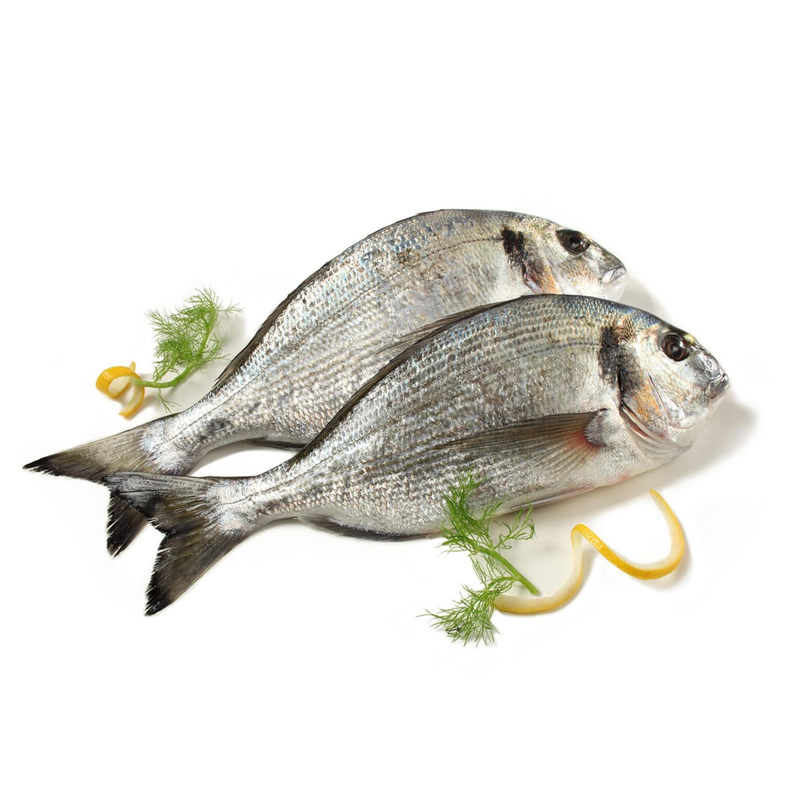 Orata 400/600g allevamento