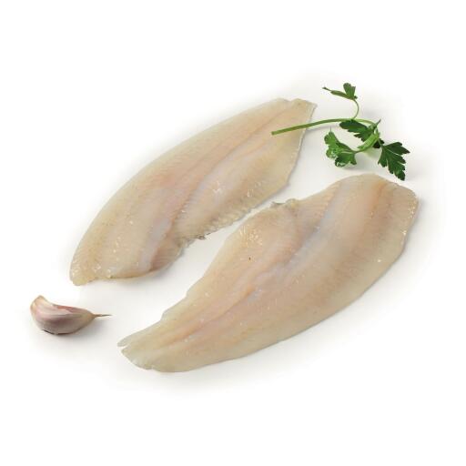 Filetto di platessa fresco 80/100g circa