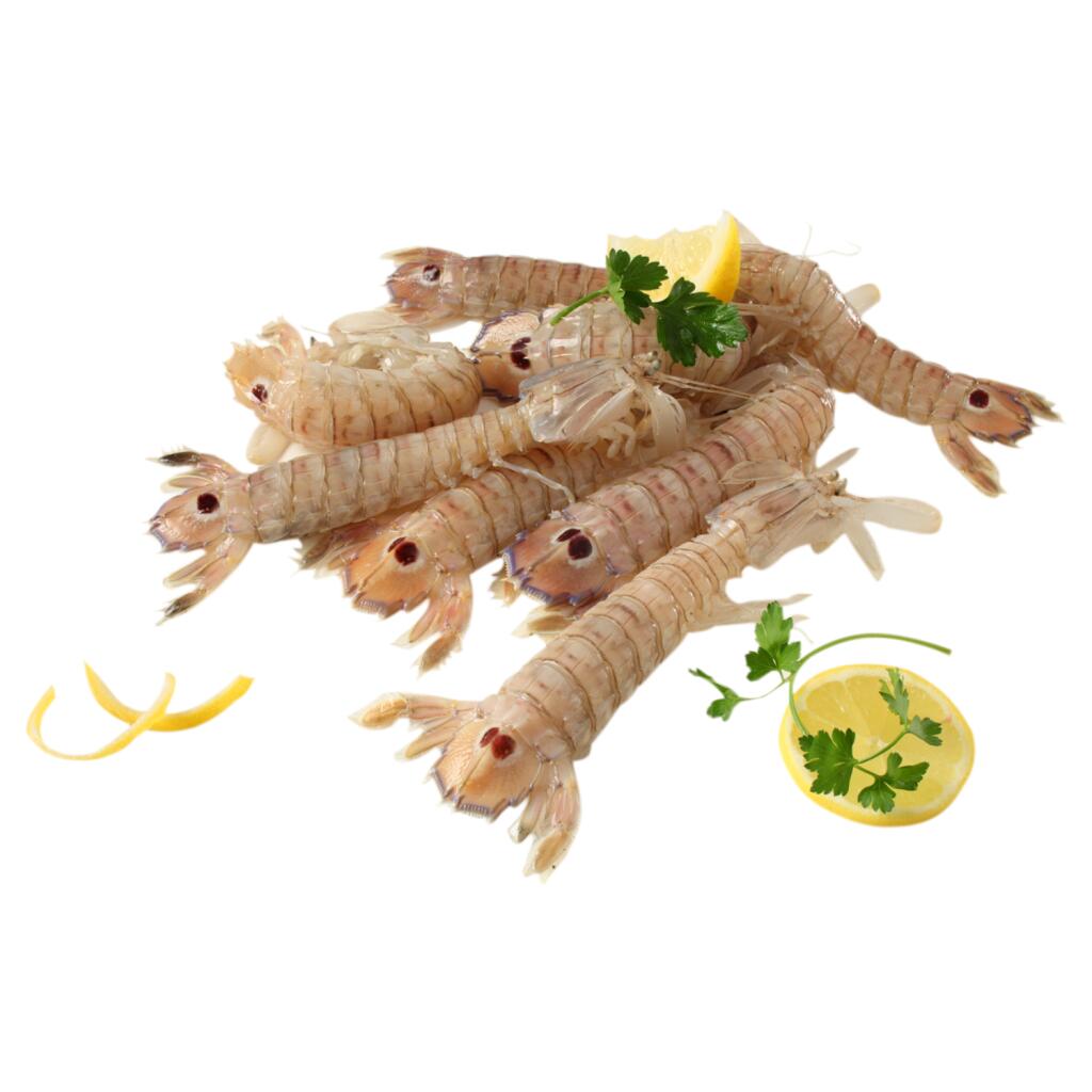 Canocchia 1kg surgelata