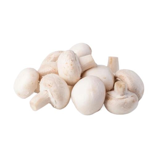 funghi champignon sfusi