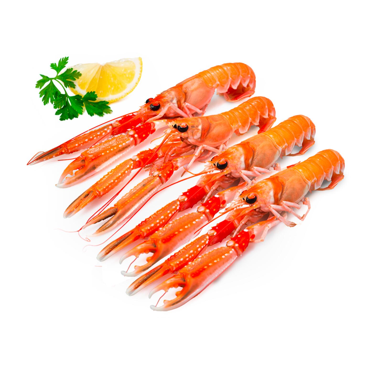 Scampi 12/15 Scozzesi Premium congelati a bordo confezione 3kg