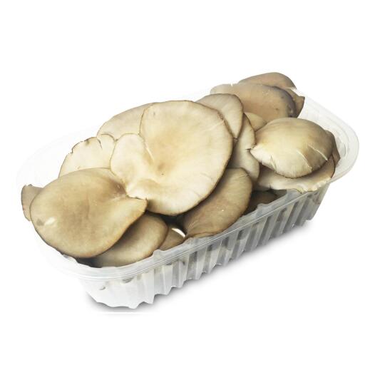 Funghi Pleurotus 300g