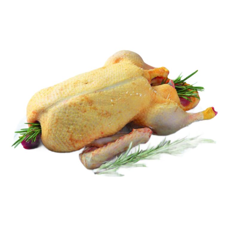 Anatra eviscerata congelata